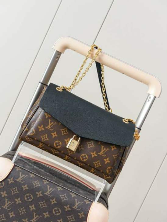 Picture of Louis Vuitton Handbags _SKUfw230105142fw